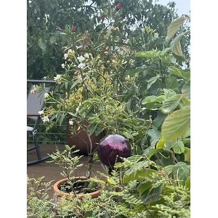 In Geisenheim With Swimming Pool Nyaraló *