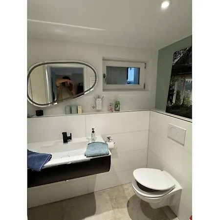 In Geisenheim With Swimming Pool * Geisenheim