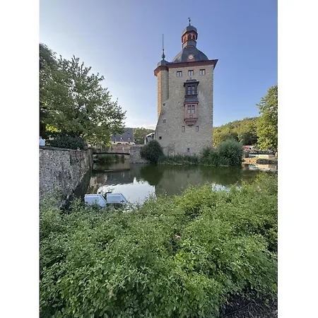 Vakantiehuis In Geisenheim With Swimming Pool