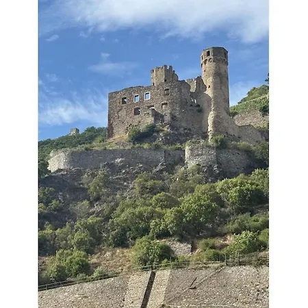 Vakantiehuis In Geisenheim With Swimming Pool