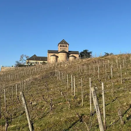 Vakantiehuis In Geisenheim With Swimming Pool *