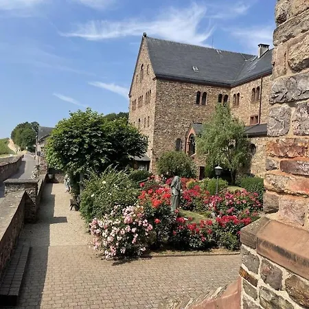 In Geisenheim With Swimming Pool Vakantiehuis