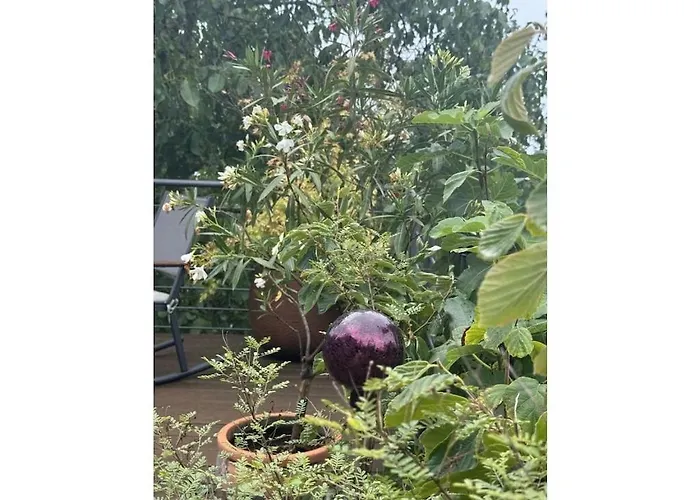 In Geisenheim With Swimming Pool Nyaraló *