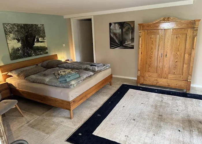 In Geisenheim With Swimming Pool *