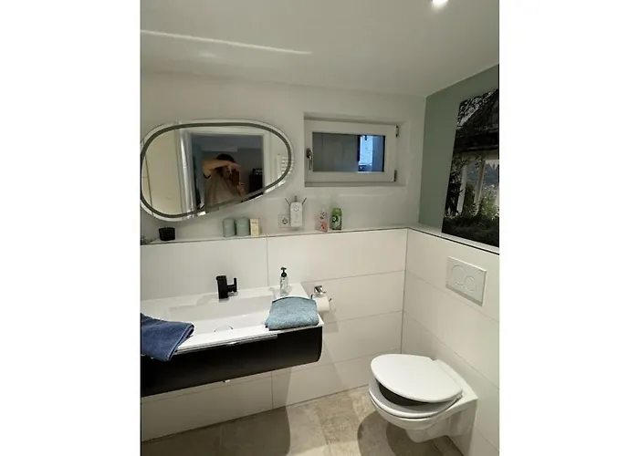 In Geisenheim With Swimming Pool * 가이젠하임