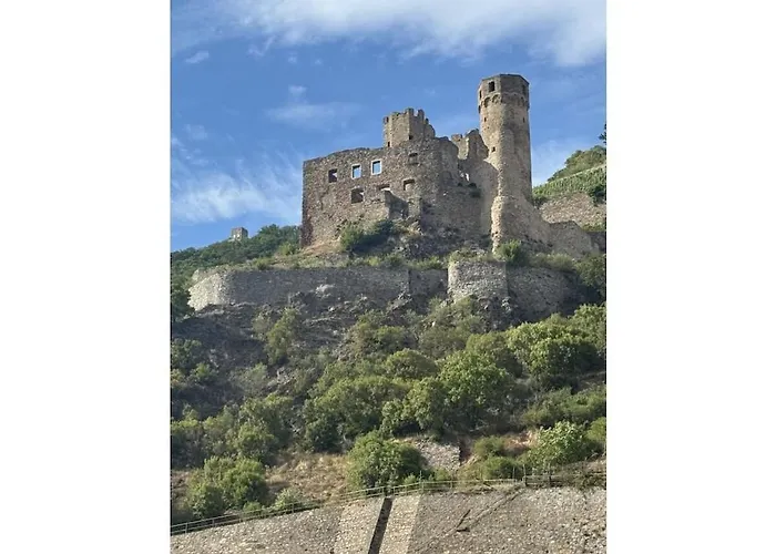 펜션 In Geisenheim With Swimming Pool